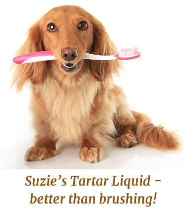 Suzies Tartar Liquid is better than brushing your dogs teeth
